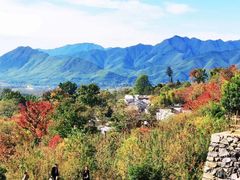 -塔川景区