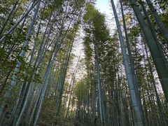 -南山风景名胜区
