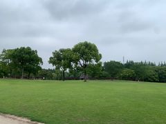 -上海滨江森林公园