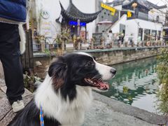 -八珍手工水饺·妈妈的爱(传芳巷店)