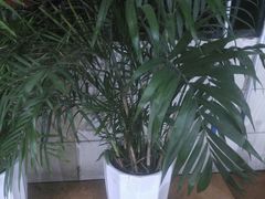 -木屋烧烤(南新店)