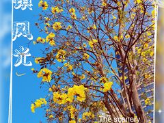 -洲头咀公园