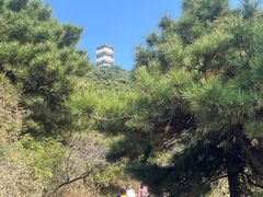 -北京十三陵国家森林公园蟒山景区