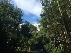 -法云安缦酒店