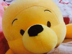 -PAWTOY爪e玩偶店(天兴罗斯福店)