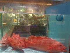 -阿伟海鲜楼·福建菜(延寿店)