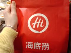 -海底捞火锅(铂澜大象城店)