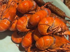 -涂小二龙虾馆(望月湖总店)