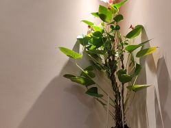 -S&G Beauty轻奢皮肤管理中心