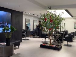 -付军剪艺JF ProSalon