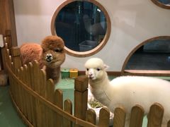 -藦茜花园宠物主题亲子互动体验馆(国顺东路店)