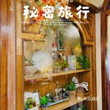 秘密旅行｜开启你我的秘密旅行之旅[爱心]