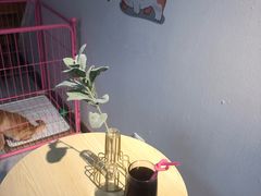 布丁-汪说·狗咖(旺城大厦店)