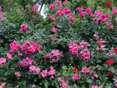 -上海科技馆(地铁站)