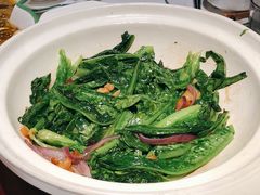 砂锅油麦菜-撒椒·四川江湖菜(大族广场店)