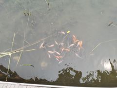 -北京鹿世界主题园