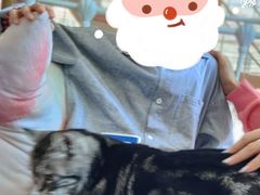 -这儿没有猫·猫咖萌宠馆·撸猫