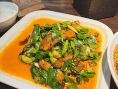 陈麻婆回锅肉-陈麻婆豆腐(旗舰店)