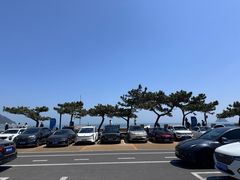-风陵渡口RESERVE·观山