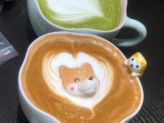 -逗柴咖啡屋·狗咖猫咖宠物桌游