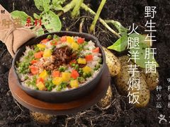 -云海肴·云南小炒·汽锅鸡(天津国金汇店)