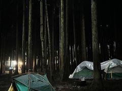 -武陵山森林公园