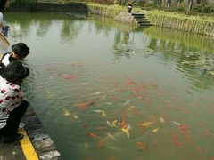 -嬉乐湾休闲旅游区