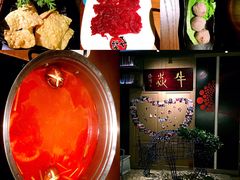 -牛焱·贵州黄牛肉火锅(城西银泰店)