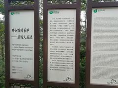 -綦江古剑山