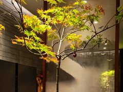 -王府茶楼茶宴·创意菜(朝阳公园店)