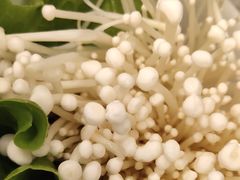 -椰子营·椰子鸡火锅(万象里店)