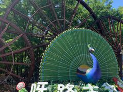 -呀路古热带植物园
