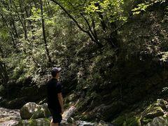 -牛背梁国家森林公园