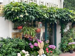 -常熟路(地铁站)