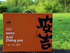 -正源安吉白茶特产享购商场(安吉店)