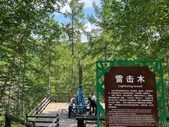 -莫尔道嘎国家森林公园