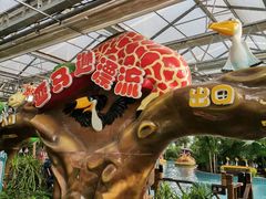 -南宫五洲植物乐园