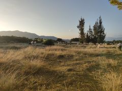 -玫瑰海岸文化旅游度假区