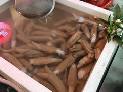 -金砂阿洲鱼册店