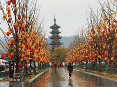 -龙华寺