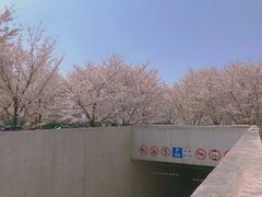 -龙美术馆(西岸馆)