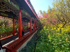 -南汇桃花村