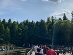 -溱湖国家湿地公园