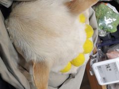 -盒马鲜生(王府广场店)