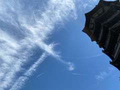 -洋湖国家湿地公园