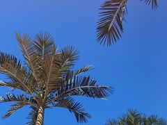 -北京石景山游乐园