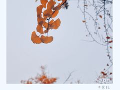 -中山公园