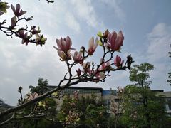 -中国客家博物馆