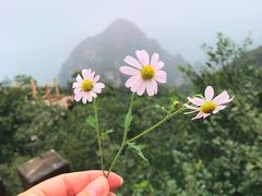 -狼牙山风景区