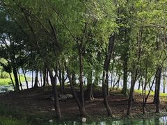-长广溪湿地公园